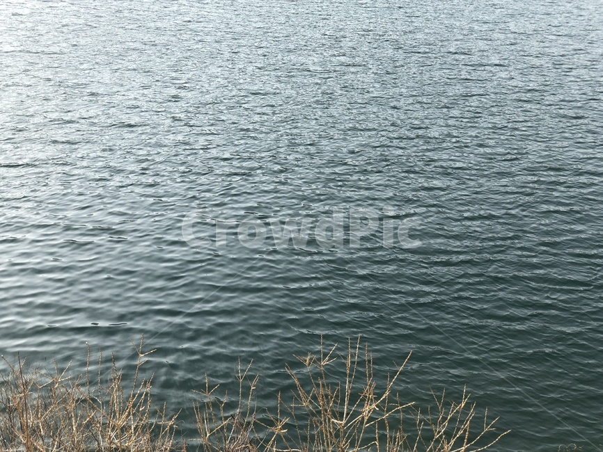 물,물결,강,자연,호수,바다,블루,웨이브,water,wave,flow,파동,nature,식물,잎,나무,푸른,자연,풍경,nature,landscape,outdoors,옥외