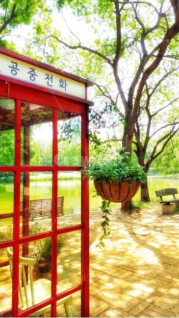 공중전화,빨간색,초록빛,callme,감성사진