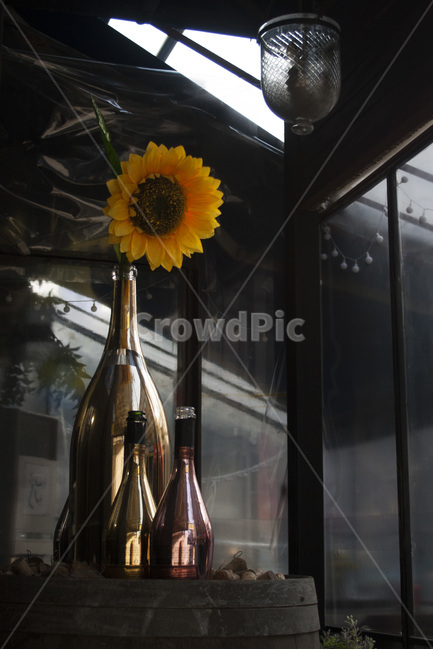 해바라기,해바라기꽃병,빈티지,감성사진,인테리어,인테리어소품,술집,sunflower,vase,vintage,interior,꽃,flower,실내용화초,화분,화초,house plant,인테리어,실내디자인,interior design