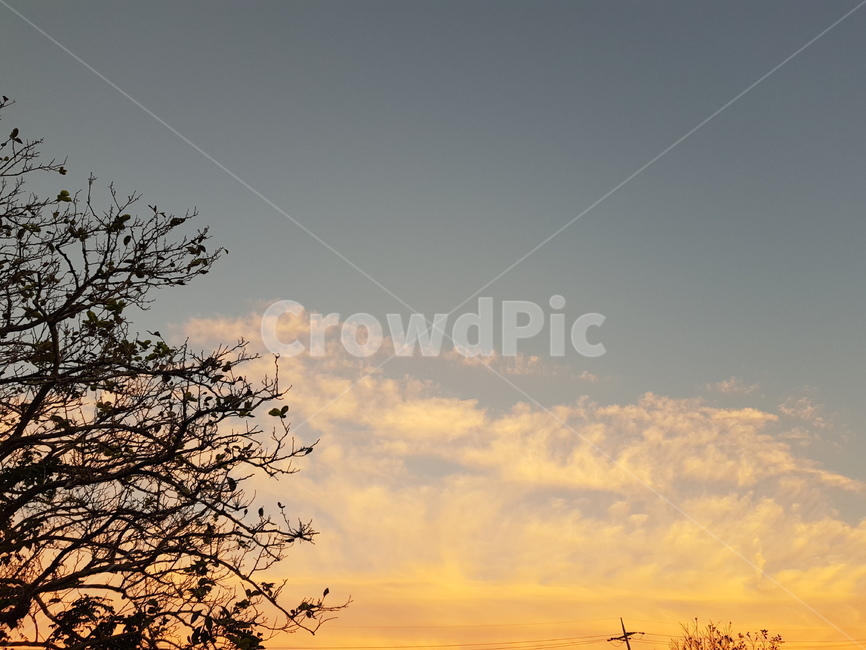 노을,하늘,나무,하루의끝,하루의시작,자연,풍경,nature,landscape,outdoors,옥외,dawn,새벽,red sky,붉은 하늘,sunset,일몰,sky,dusk,황혼