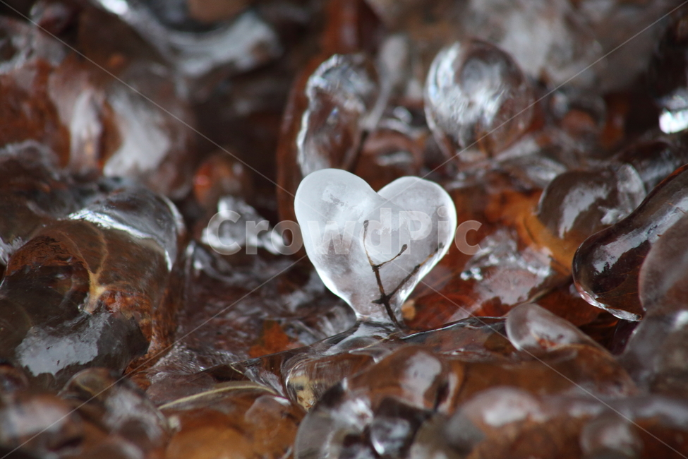 nature,ice,얼음,겨울,하트모양,고드름,겨울,계절,winter,season