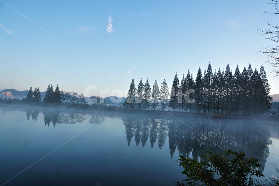 가을,아침,안개,자연,하늘,논,tree,sky,nature,나무,plant,풍경,autumn,morning,water,물,저수지,reservoir