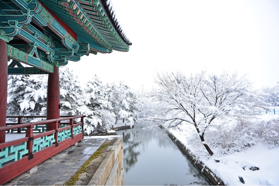 architecture,건축물,building,건물,nature,자연,outdoors,옥외,경주,안압지,안압지설경,설경,겨울,계절,폭설,눈,경치,풍경