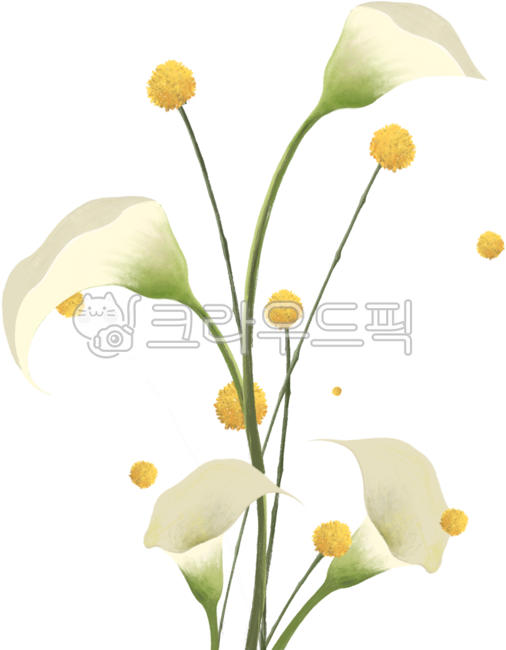 flower,꽃,꽃잎,꽃꽂이,카라꽃,노란꽃,장식,꽃다발,자연,지구