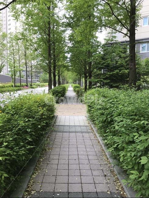 플라타너스길,오솔길,도시풍경,아파트단지,아파트경관,도시,풍경,city,landscape,한국도시풍경,한국도시경관,korea cityscape,식물,자연,plants,nature,나무,trees,wood,flagstone,판석,outdoors,옥외,arbour,정자,garden,정원
