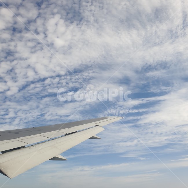 푸른하늘,하늘,sky,비행기,airplane,항공기,날개,비행기날개,outdoors,aircraft