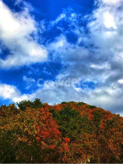 nature,자연,하늘,구름,가을,단풍,산,가을,계절,fall,autumn,season,자연,풍경,nature,landscape,outdoors,옥외,weather,날씨