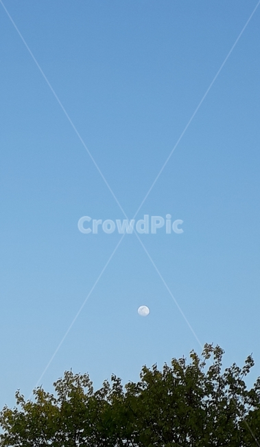 달,하늘,낮,moon,sky