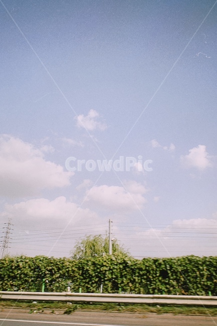 필름,필름카메라,film,하늘,구름,도로,나무,road,자연,nature,camera