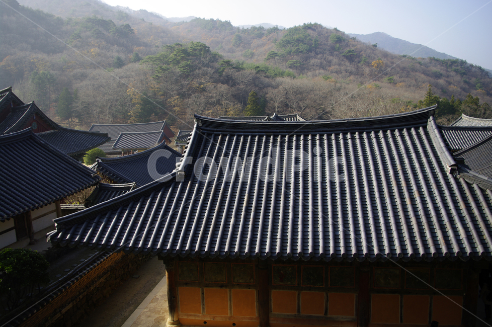 기와지붕,전통,산,사찰,전각,한국,한국전통,한국문화,korean traditional,korean culture,건축물,건물외관,exterior,building,structure,architecture,construction