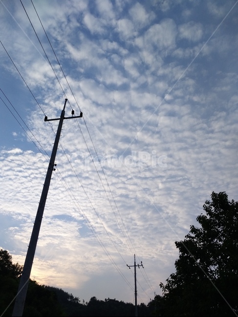 전력선,전신주,하늘,sky,cloud,구름