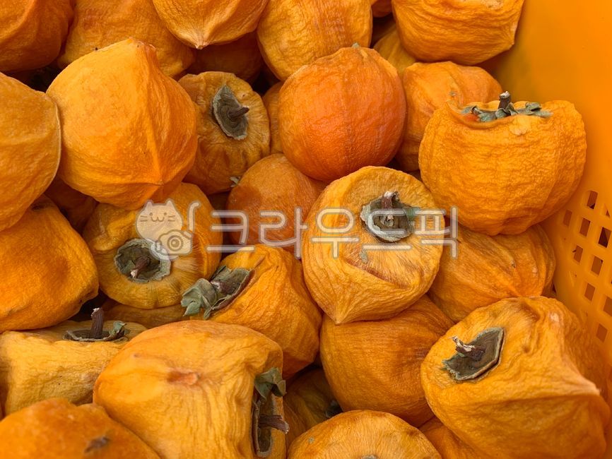 곶감,말린감,감,단감,건시,반건시,대봉,과일