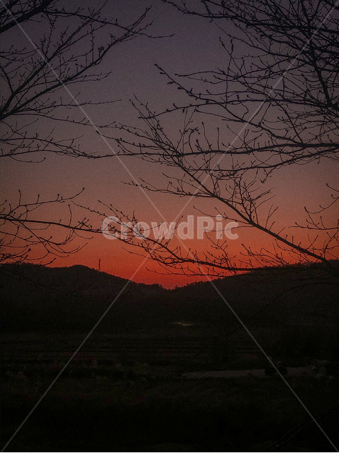 nature,자연,sunset,일몰,sky,하늘,dusk,황혼,redsky,붉은하늘,새벽,dawn,나무,감성사진
