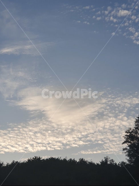 nature,자연,outdoors,옥외,하늘,날씨,weather,cloud,sky,구름,적운,cumulus,나무,자연,풍경,nature,landscape