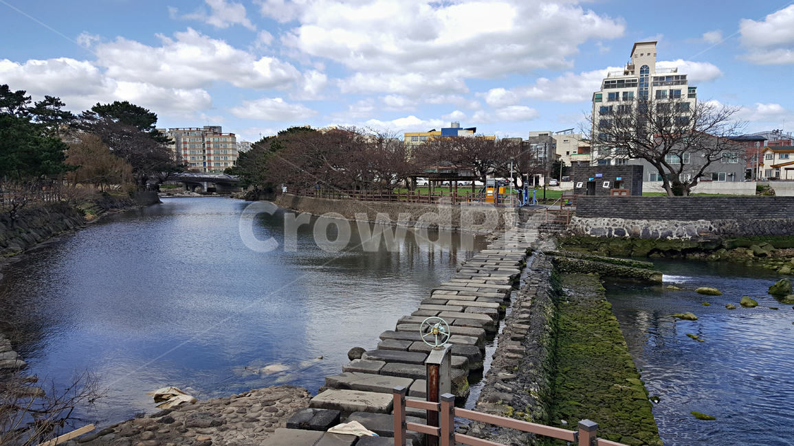 월대,자연,옥외,nature,outdoors,물,water