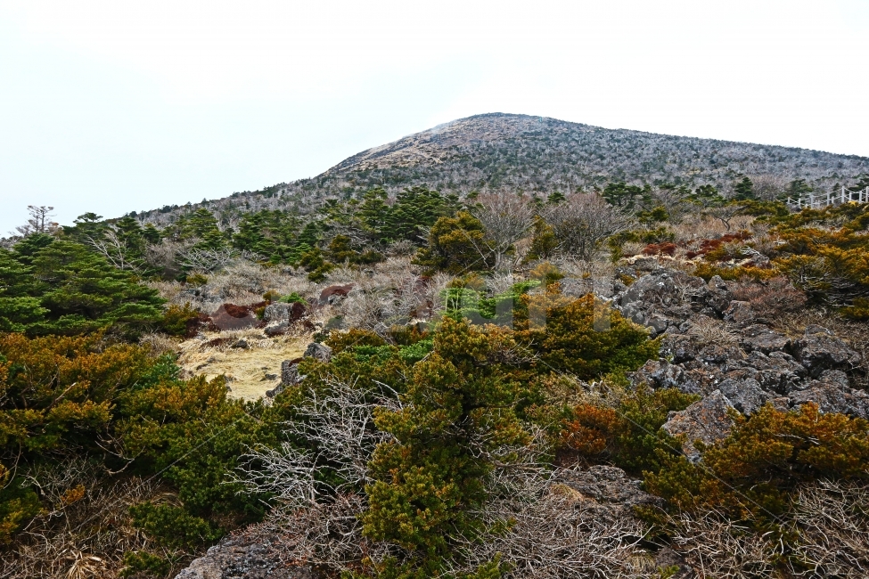 제주도,jeju,여행,travel,하늘,sky,풍경,제주,성판악,한라산,등산,산행,자연,풍경,nature,landscape,제주도,jeju,jeju island,dirt road,흙길,gravel,자갈,road,도로,outdoors,옥외
