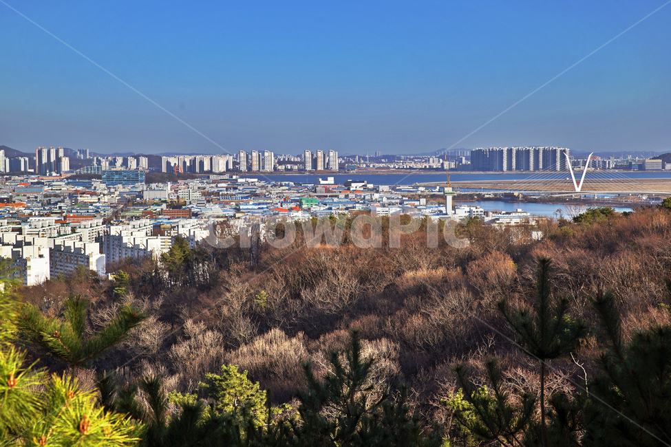 송도,인천,도시,시흥,아파트,봉재산,도시,풍경,city,landscape