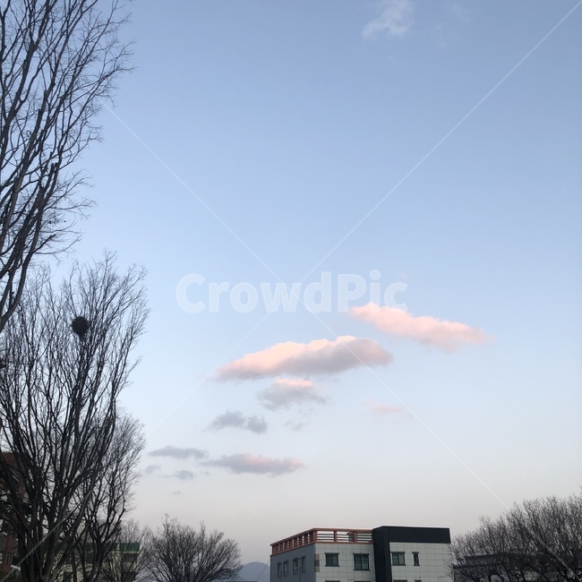 nature,자연,outdoors,옥외,구름