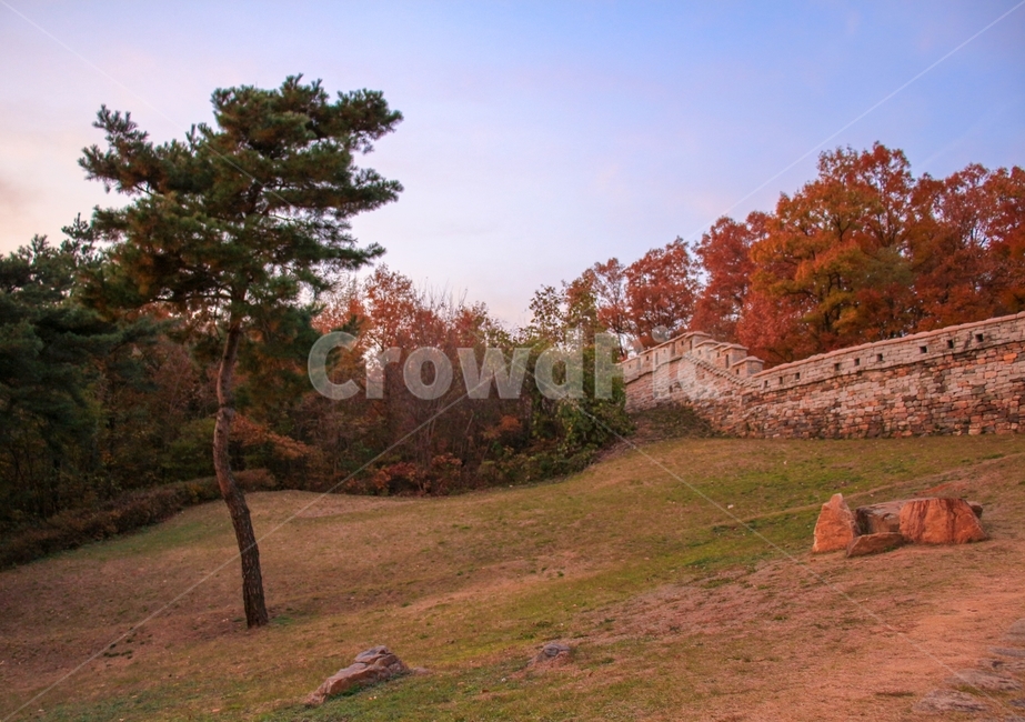 가을,풍경,자연,나무,성벽,단풍,단풍나무,길,하늘,가을,계절,fall,autumn,season,자연,풍경,nature,landscape,한국자연풍경,한국자연경관,korea nature landscape,tree,plant,식물,grass,잔디