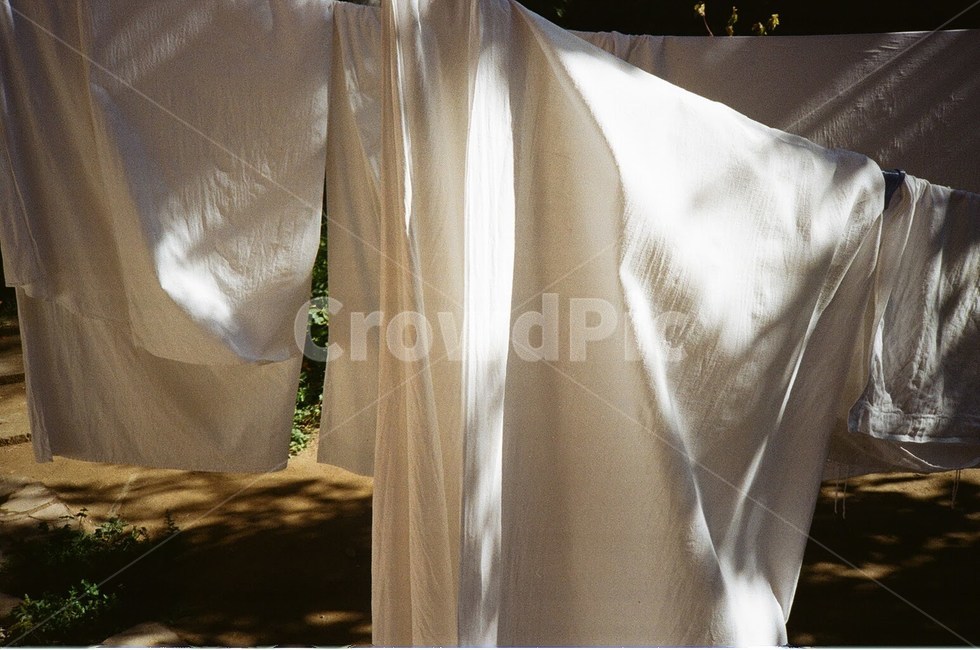 light,film,flimphoto,빛,감성,감성사진,white,감성,sensible,feeling