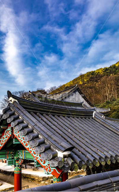 화엄사,문화유산,사찰,인간,기와,풍경,지붕,roof,하늘,전통건축물,한옥