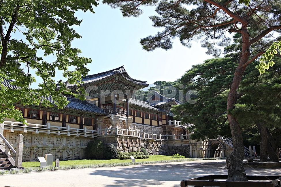 불국사,경주,절,사찰,국보,보물,전통,기와집,집,한옥