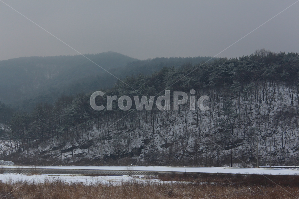 눈,겨울,겨울풍경,겨울아침,계절,풍경,분위기,색감,landscape,winter,snow,snowing
