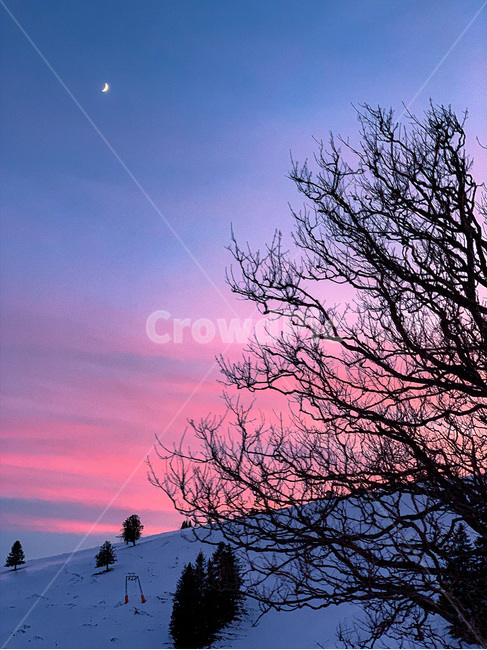 sunset,일몰,nature,자연,outdoors,옥외,silhouette,실루엣,sky,하늘,dawn,새벽,redsky,붉은하늘,황혼