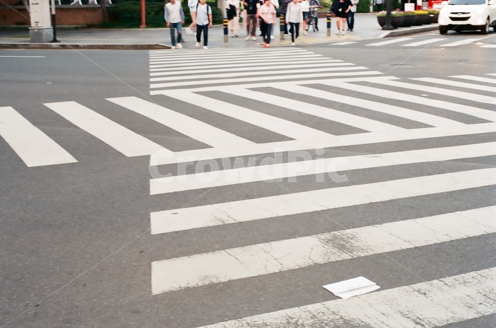 횡단보도,길,도로가,도로길,crosswalk,교통,교통수단,traffic,transportation