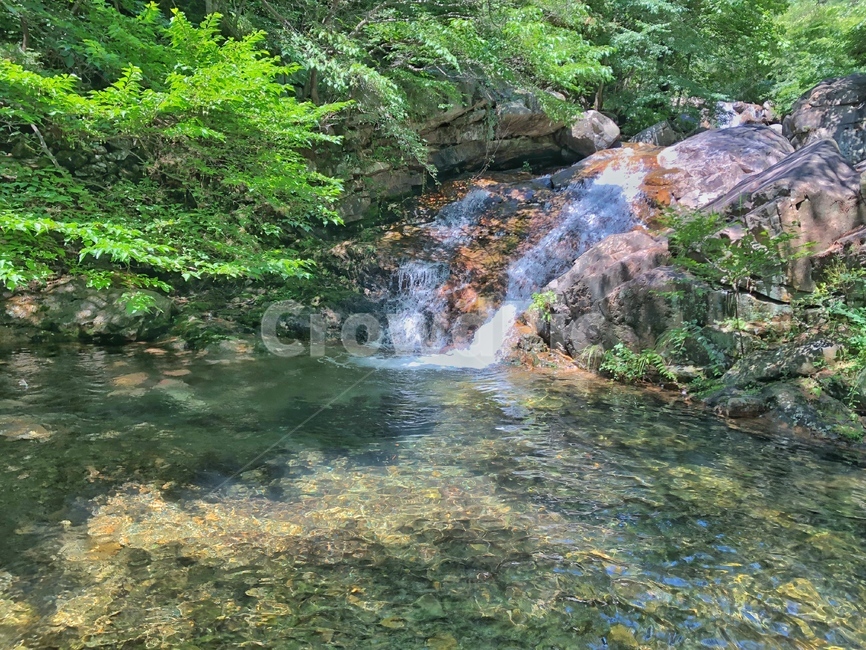 계곡,자연,nature,풍경,scenery,landscape,여름,summer,water,물,outdoors,옥외,stream,흐름,creek,작은만,자연,풍경,nature,landscape,작은 만