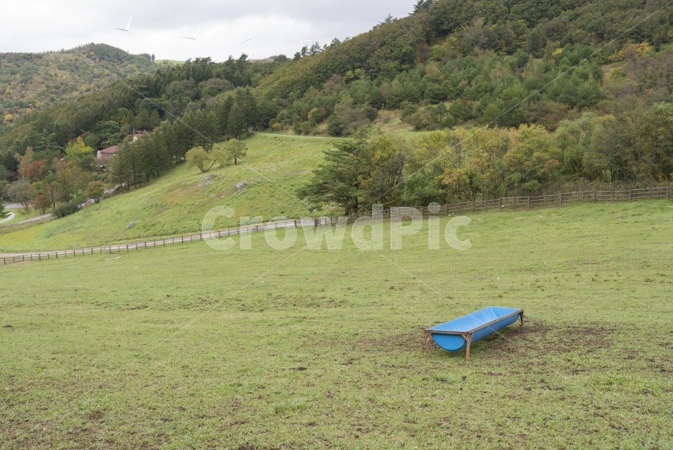 풍경,landscape,목장,숲,forest,하늘,sky,감성,생동감,fresh,자연,nature,나무,wood,가을,fall,식물,plant,자연,풍경,nature,landscape,산업,industry,industrial,목축업,목장,livestock farming,ranching,pasture,field,들,outdoors,옥외,grassland,목초지,bench,벤치
