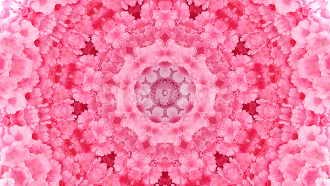 패턴,기하학,추상,360도,배경,환상적,background,wallpaper,색감,색상,아름다운,artistic,칼라풀,예쁜,모던,morden,백그라운드,디자인,graphic,design,art,feeling,emotion,sensibility,colorful,분위기,필링,그래픽,라인,컨셉,디자인소스,화려한,아트,샤프한,웹,느낌,효과,웨이브,꽃무늬,핑크색,분홍색,pink,꽃,flower,텍스처,질감,패턴,texture,pattern