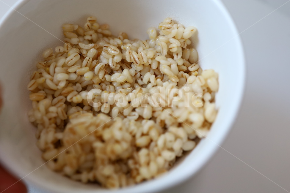 보리,보리밥,밥,쌀,보리쌀,다이어트식단,탄수화물,식물,plant,음식,식재료,요리,food,cook,meal,dishes,food reserves