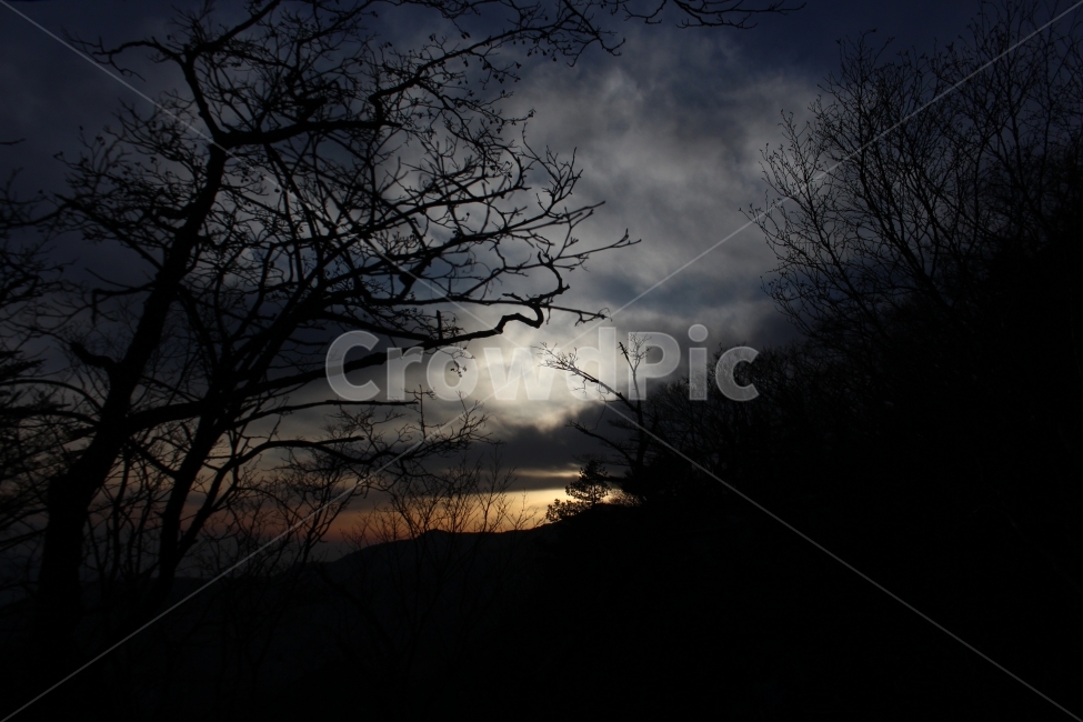 나무,일몰,구름,역광,실루엣,풍경,자연,어둠,밤,자연,풍경,nature,landscape,silhouette,outdoors,옥외