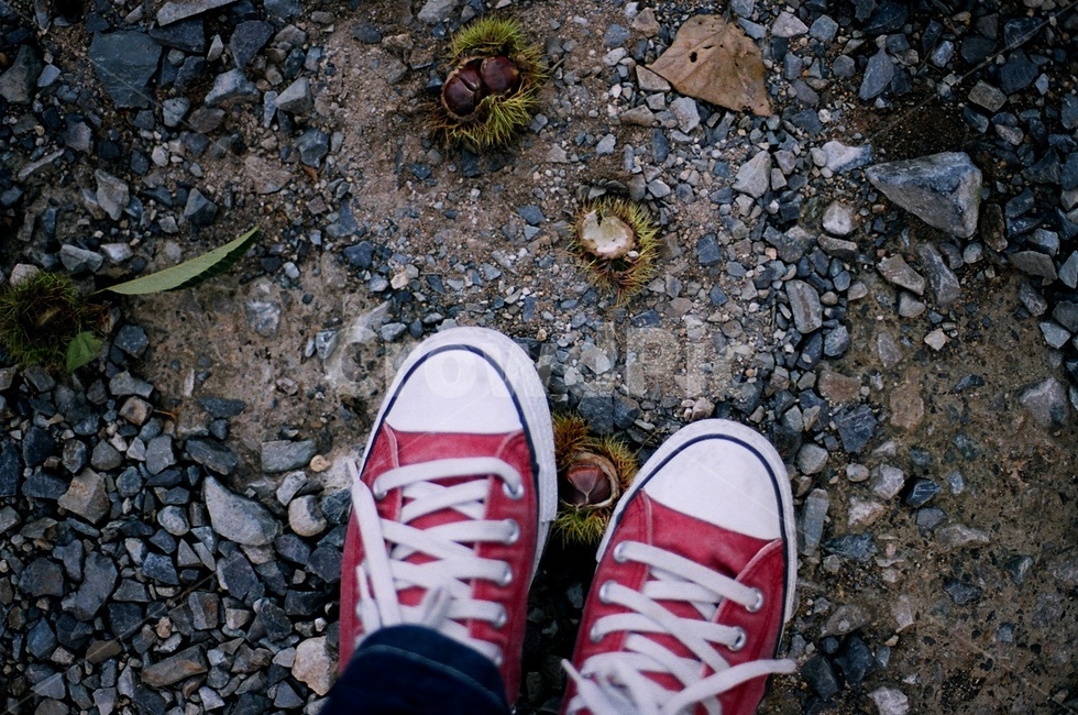 footwear,신발류,apparel,의복,clothing,의류,shoe,road,구두,도로,gravel,자갈,dirtroad,흙길,컨버스,가을,밤,사람,인물,인간,human,person,신체일부,몸,body