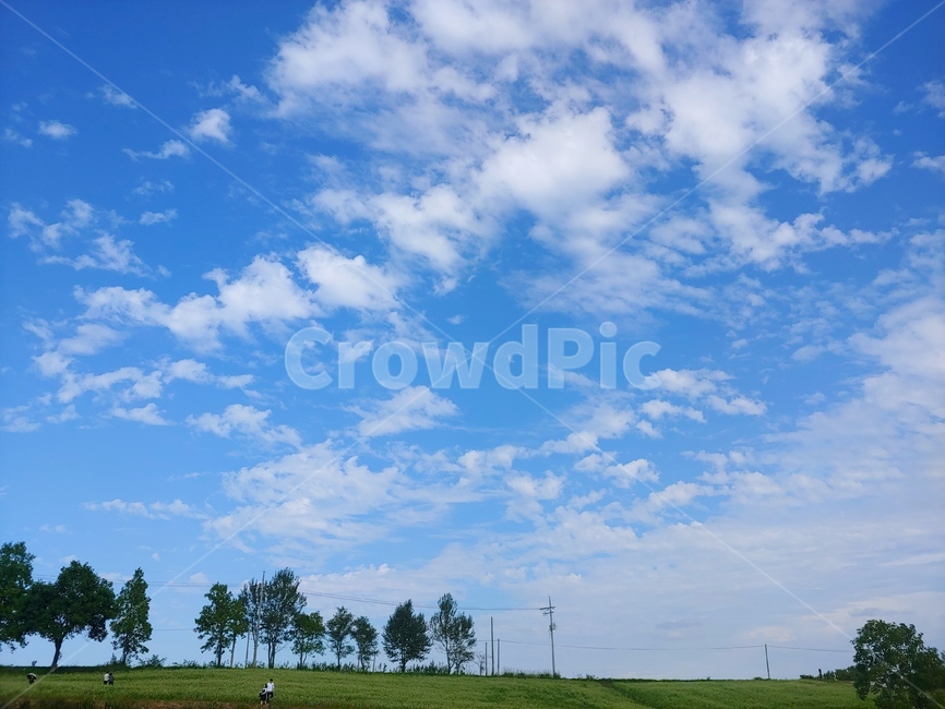 구름,풍경,맑은하늘,나무,푸른하늘,자연,풍경,nature,landscape,outdoors,옥외,field,들,grassland,목초지