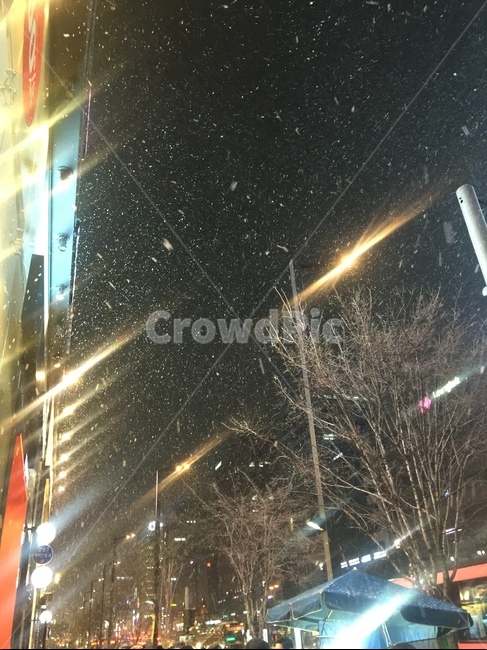 강남,눈오는날,강남거리,겨울,거리,겨울,계절,winter,season,야경,밤,풍경,nightscape,night,landscape,도시,city,한국도시풍경,한국도시경관,korea cityscape,flare,플레어,light,빛,building,건물,시티,metropolis,중심지,urban,어반,town