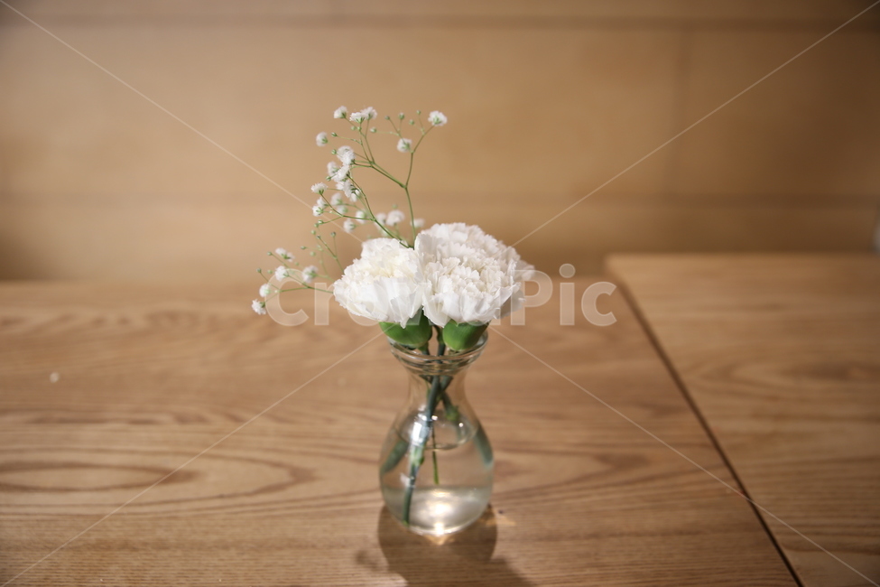 plant,flowerbouquet,식물,flower,꽃부케,blossom,꽃,꽃꽂이,꽃병,실내용화초,화분,화초,house plant
