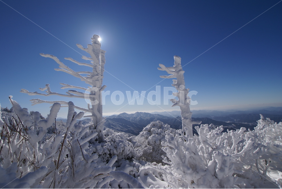 무주,덕유산,상고대,설경,주목,겨울,계절,winter,season,자연,풍경,nature,landscape,한국자연풍경,한국자연경관,korea nature landscape,outdoors,옥외,ice,빙,snow,눈