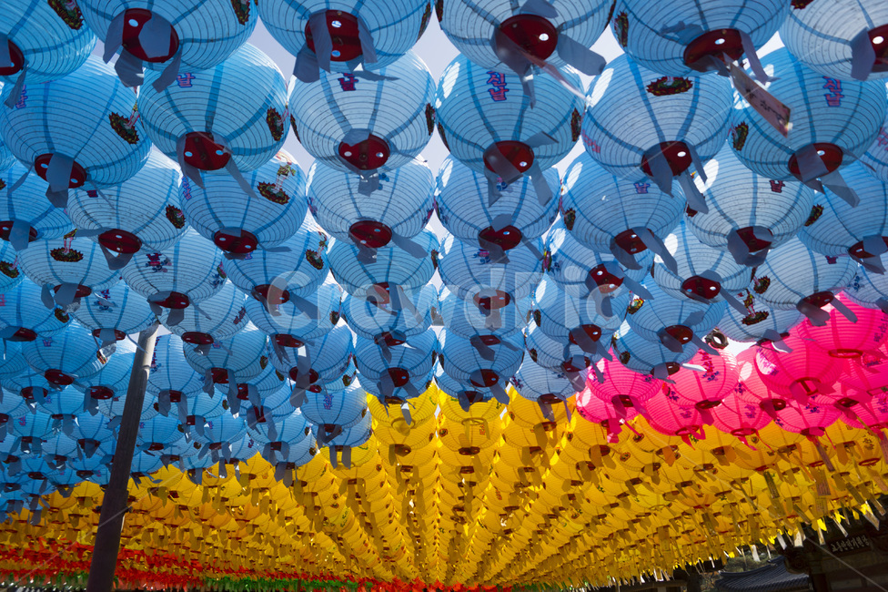 연등,팔공산,풍등,절,동화사,lotuslanttern,종교,신앙,religion,belief,faith,축제,행사,festival,carnival,event