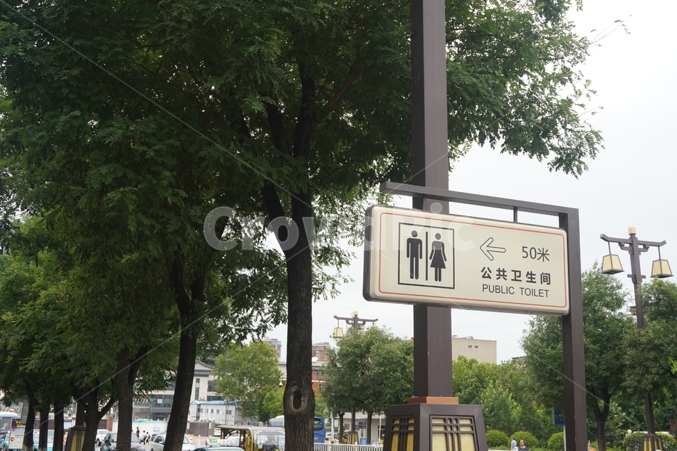 나무,길,표지판,화장실,tree,load,toilet,sign,notice
