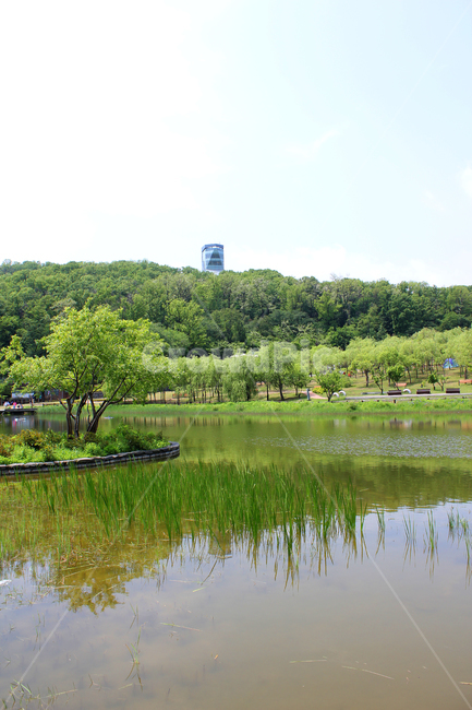 공원,하늘,낮,자연,산,숲,나무,벤치,풀,호수,강,반영,연못,수풀,생태공원,생태,물,빌딩,전망대,북서울꿈의숲,꿈의숲,한국,대한민국,서울,그린,녹색,초록색,건물,언덕,호수공원,물풀