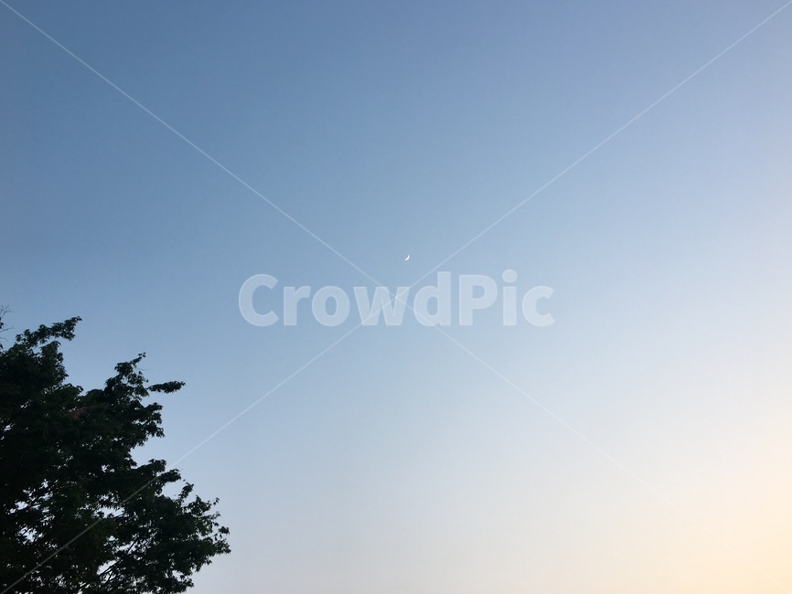 하늘,초승달,나무,풍경,노을질때하늘,자연,풍경,nature,landscape,outdoors,옥외
