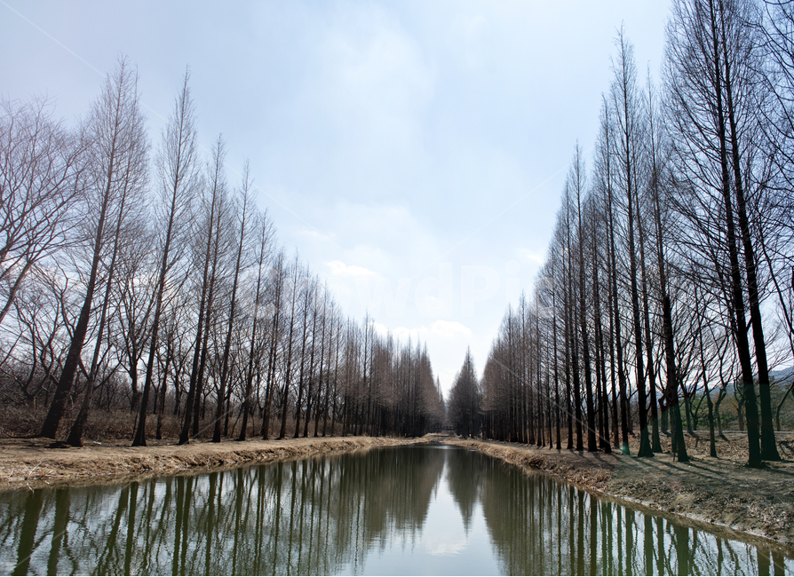 경주,풍경사진,산림환경연구원,봄,스냅,겨울,계절,winter,season,자연,풍경,nature,landscape,식물,plants,나무,trees,wood,water,물,land,땅,outdoors,옥외,tree,plant
