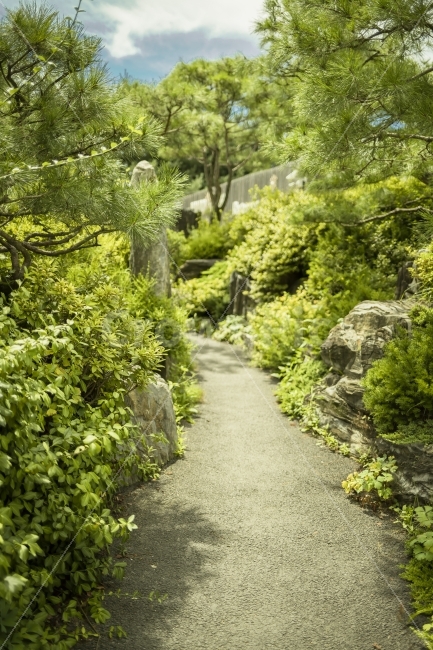 길,나무,풀,초록,연두,자연,풍경,nature,landscape,garden,정원,outdoors,옥외,arbour,정자