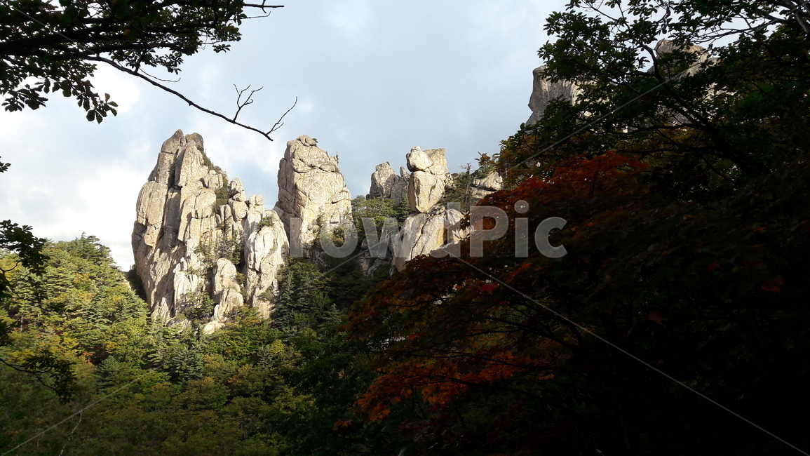 설악산,용아장성,봉정암,단풍,가을,수렴동계곡,가을,계절,fall,autumn,season,자연,풍경,nature,landscape,한국자연풍경,한국자연경관,korea nature landscape,tree,나무,plant,식물,outdoors,옥외,cliff,낭떠러지