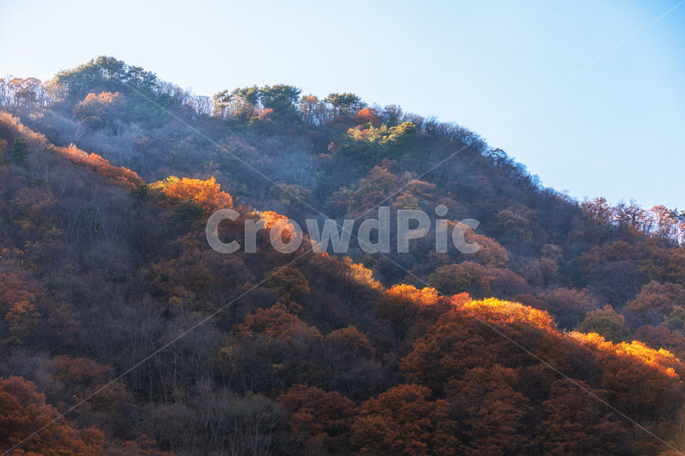 단풍,가을,autumn,fall,계절,가을,계절,fall,autumn,season,자연,풍경,nature,landscape,outdoors,옥외