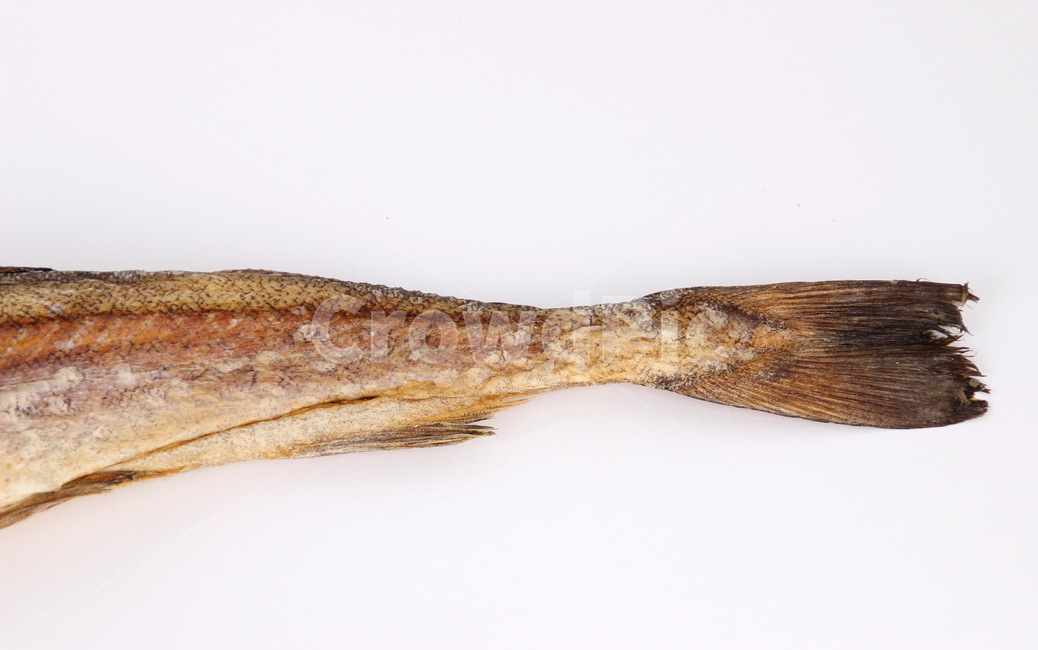 fish,물고기,황태,북어,황태꼬리,꼬리,북어꼬리,음식,식재료,요리,food,cook,meal,dishes,food reserves