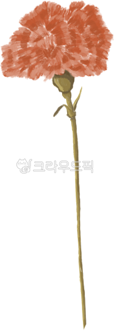 카네이션,꽃,꽃일러스트,스승의날,어버이날,졸업식,생신,은사,감사,감사합니다,엄마,아빠,선생님,교수님,flower,red,붉은