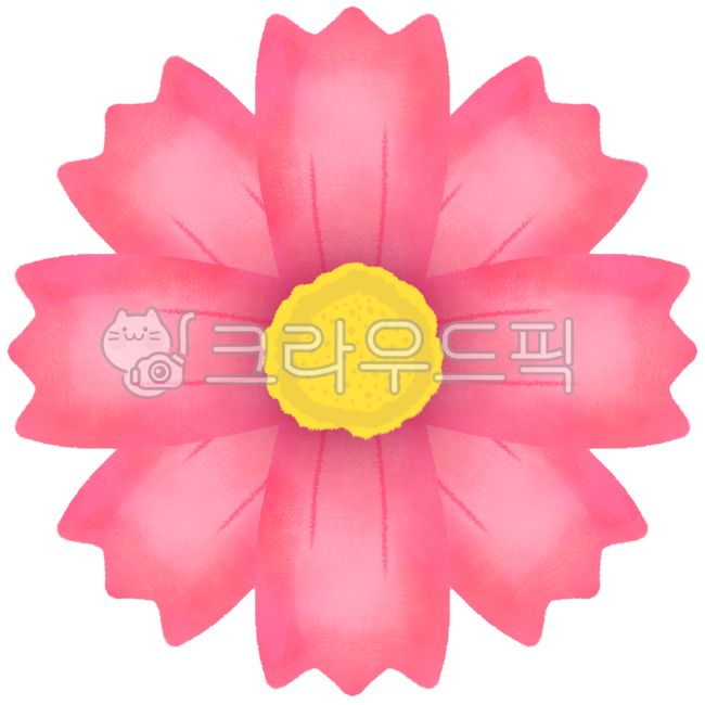 꽃,flower,코스모스,일러스트,일러스트레이션,cosmos